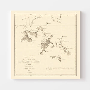 Vintage Shumagin Islands, AK Map 1872
