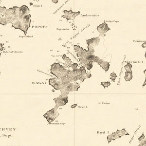 Vintage Shumagin Islands, AK Map 1872