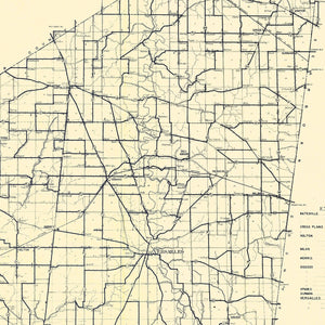 Vintage Map of Ripley County, Indiana 1909