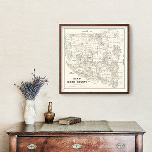 Vintage Map of Wood County, Texas 1877