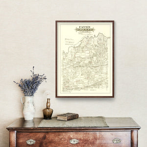 Vintage Map of Fannin County, Texas 1870