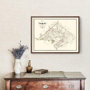 Vintage Map of Comal County, Texas 1862