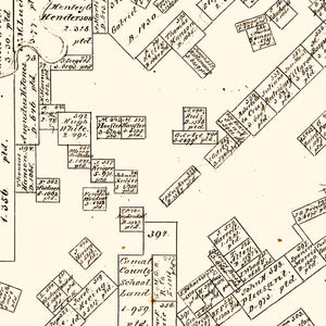 Vintage Map of Comal County, Texas 1862