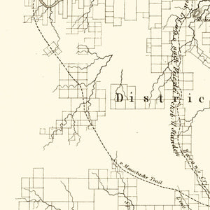 Vintage Map of Gillespie County, Texas 1850