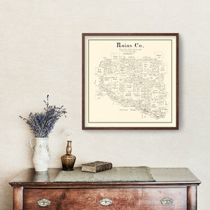 Vintage Map of Rains County, Texas 1888