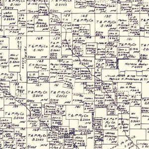 Vintage Map of Parker County, Texas 1889