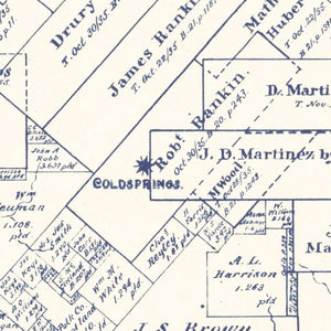 Vintage Map of San Jacinto County, Texas 1889