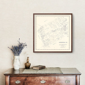Vintage Map of Somervell County, Texas 1884