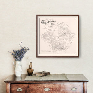 Vintage Map of Guadalupe County, Texas 1880