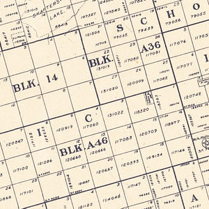 Vintage Map of Andrews County, Texas 1925