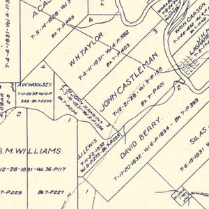 Vintage Map of Fayette County, Texas 1920