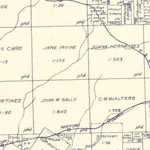 Vintage Map of Henderson County, Texas 1922