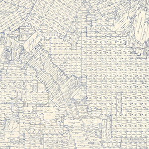Vintage Map of La Salle County, Texas 1923