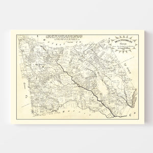 Vintage Map of Montgomery County, Texas 1933
