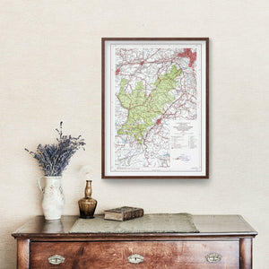 Vintage Pisgah National Forest Map 1966