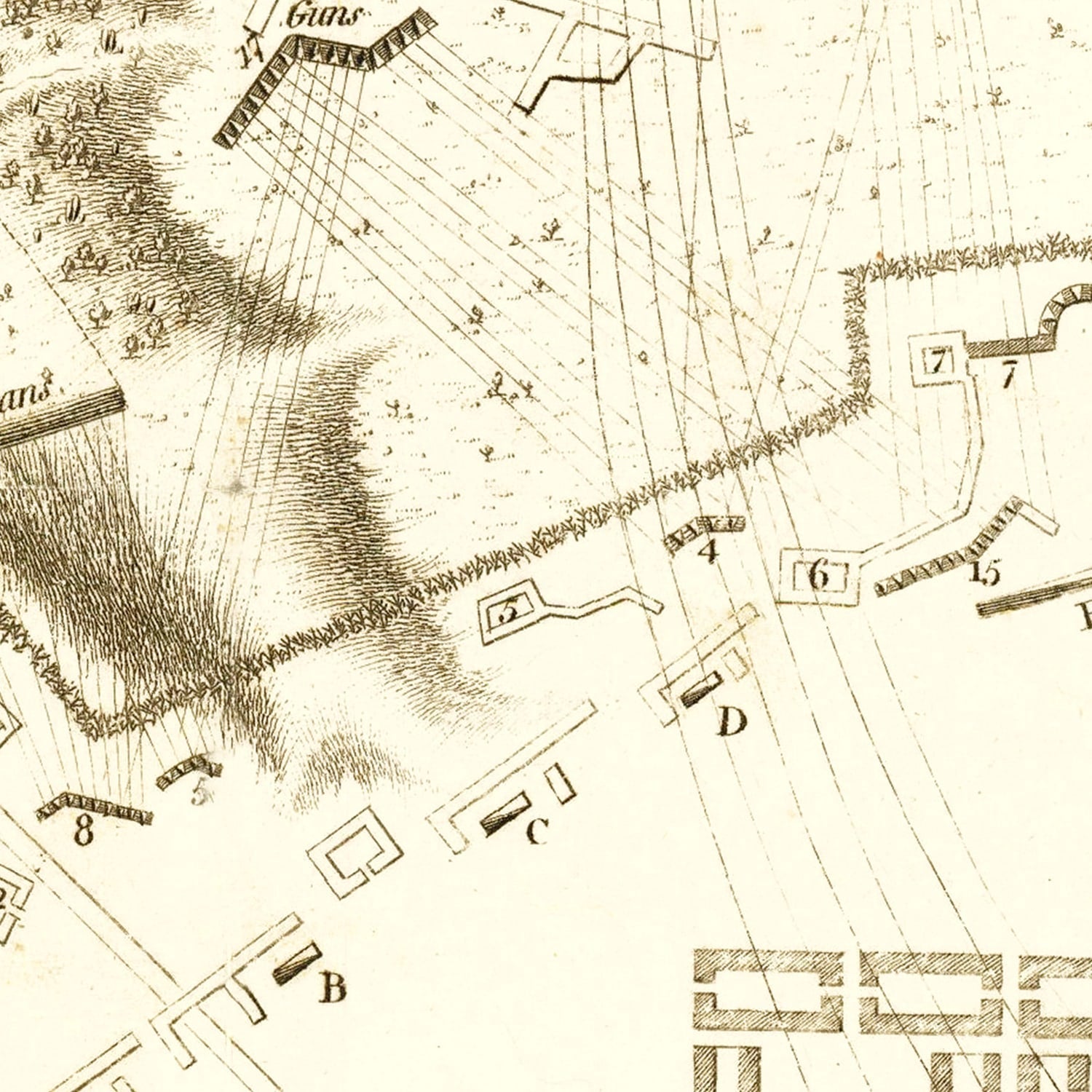 Vintage Siege of Savannah Map 1794