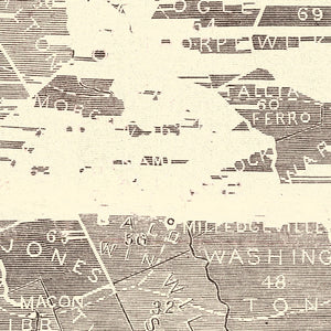 Vintage Georgia Slave Map 1861