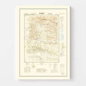 Vintage Iran World War II Map 1942