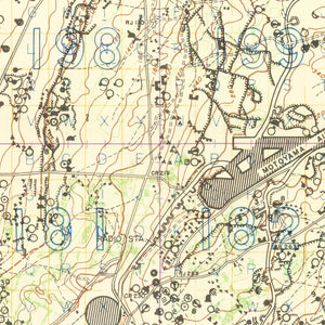 Vintage Iwo Jima World War II Map 1944