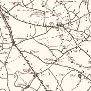 Vintage Map of Aiken County, South Carolina 1939