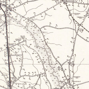 Vintage Map of Florence County, South Carolina 1938