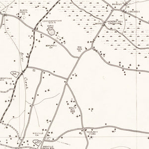 Vintage Map of Hampton County, South Carolina 1938