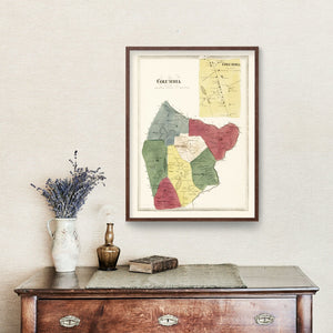 Vintage Map of Columbia, Connecticut 1869