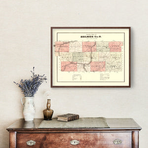 Vintage Map of Holmes County, Ohio 1875