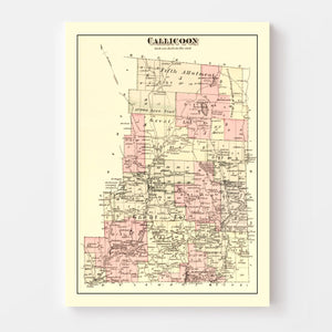 Vintage Map of Callicoon Township, Sullivan County, New York 1875