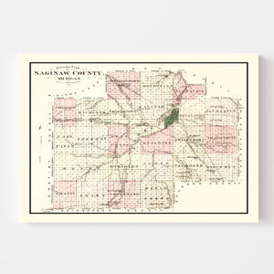 Vintage Map of Saginaw County, Michigan 1877