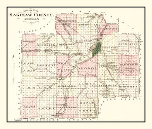 Vintage Map of Saginaw County, Michigan 1877