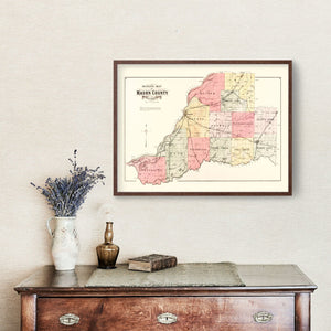Vintage Map of Mason County, Illinois 1891