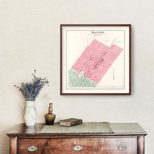 Vintage Map of Manito, Illinois 1891