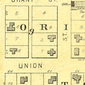 Vintage Map of Ionla, Iowa 1892