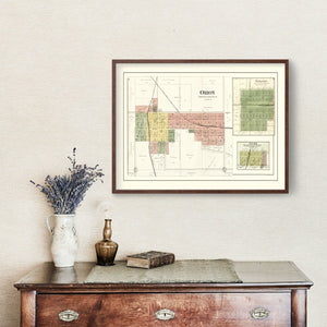 Vintage Map of Orion, Illinois 1893