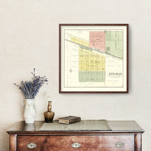 Vintage Map of Annawan, Illinois 1893