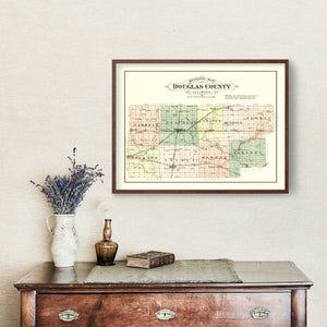 Vintage Map of Douglas County, Illinois 1893