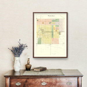 Vintage Map of Tuscola, Illinois 1893