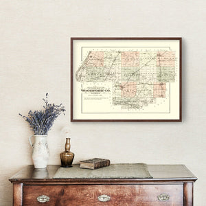 Vintage Map of Woodford County, Illinois 1893