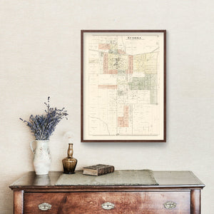 Vintage Map of Eureka, Illinois 1893