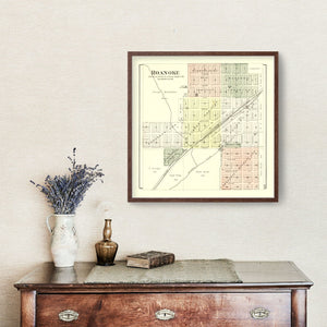 Vintage Map of Roanoke, Illinois 1893