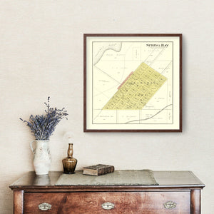 Vintage Map of Spring Bay, Illinois 1893