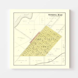 Vintage Map of Spring Bay, Illinois 1893