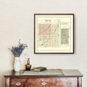 Vintage Map of Secor, Illinois 1893