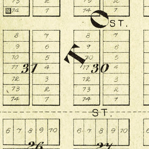 Vintage Map of Secor, Illinois 1893