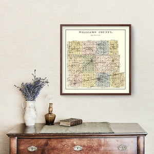 Vintage Map of Williams County, Ohio 1894