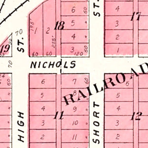 Vintage Map of Nichols, Iowa 1899