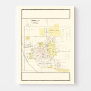 Vintage Map of Waterloo, Illinois 1901