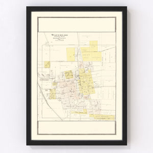 Vintage Map of Waterloo, Illinois 1901