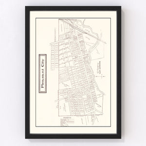 Vintage Map of Pleasant, Ohio 1902